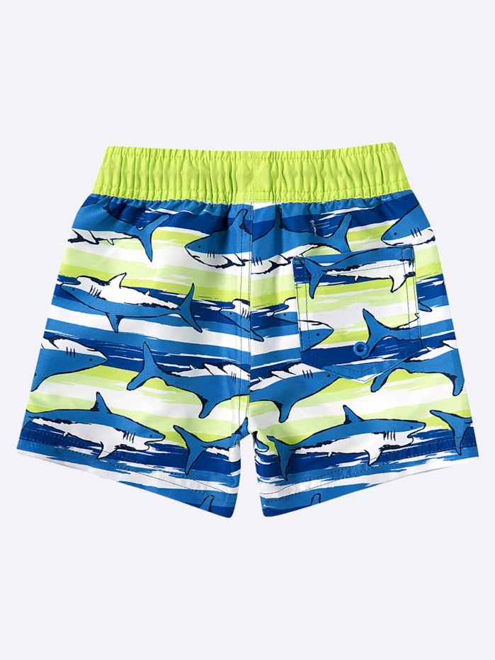 image_ebf61f42-a528-4875-bd83-d9df520d7d32