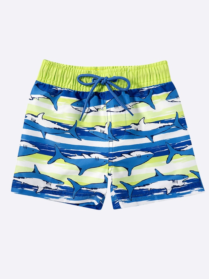 image_035bcf70-3a3f-49fa-8727-b52bc13bc887