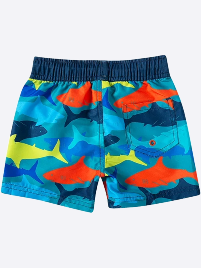 image_4256842a-ab94-4512-9d86-1d0b2d10da15