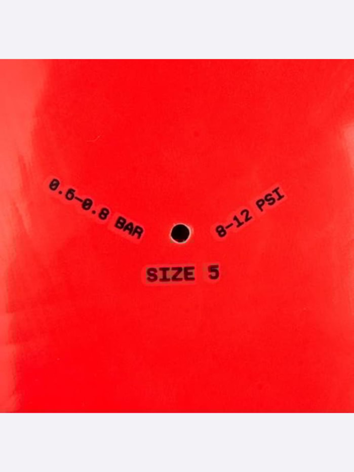 image_fb00d880-5f81-4cbe-89e8-a200c52b6697