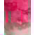 ROSA NEON