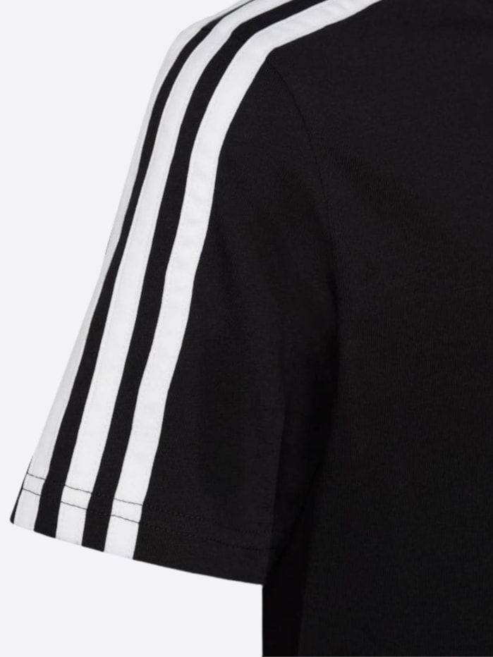 image_042a2958-31da-4207-a434-81481a210802