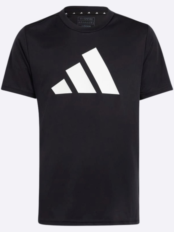 image_a6f60ee4-f1e4-43ee-805e-a28ca33567c7