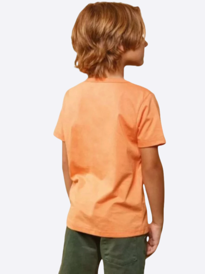 image_98c75053-86d2-437c-8ee3-08d7a21d79a9