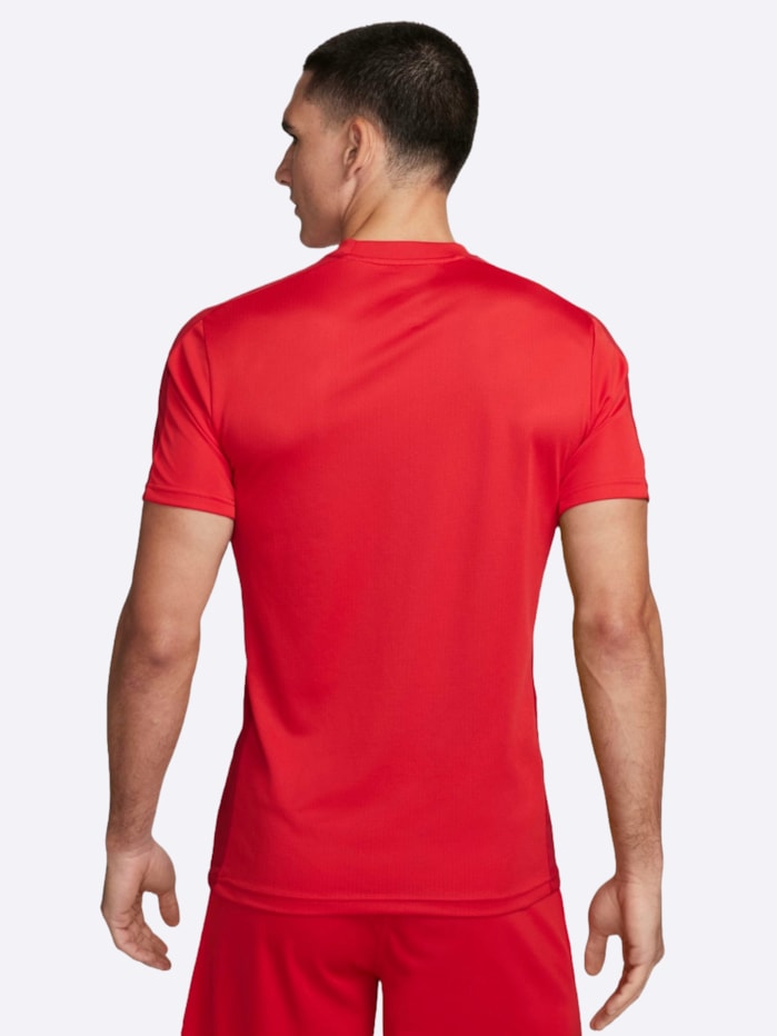 image_c93d5d79-102f-44cf-a26e-6d8544069c61