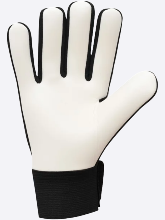 image_3e1b1571-26c3-4bd2-94c9-39ad67c4659e