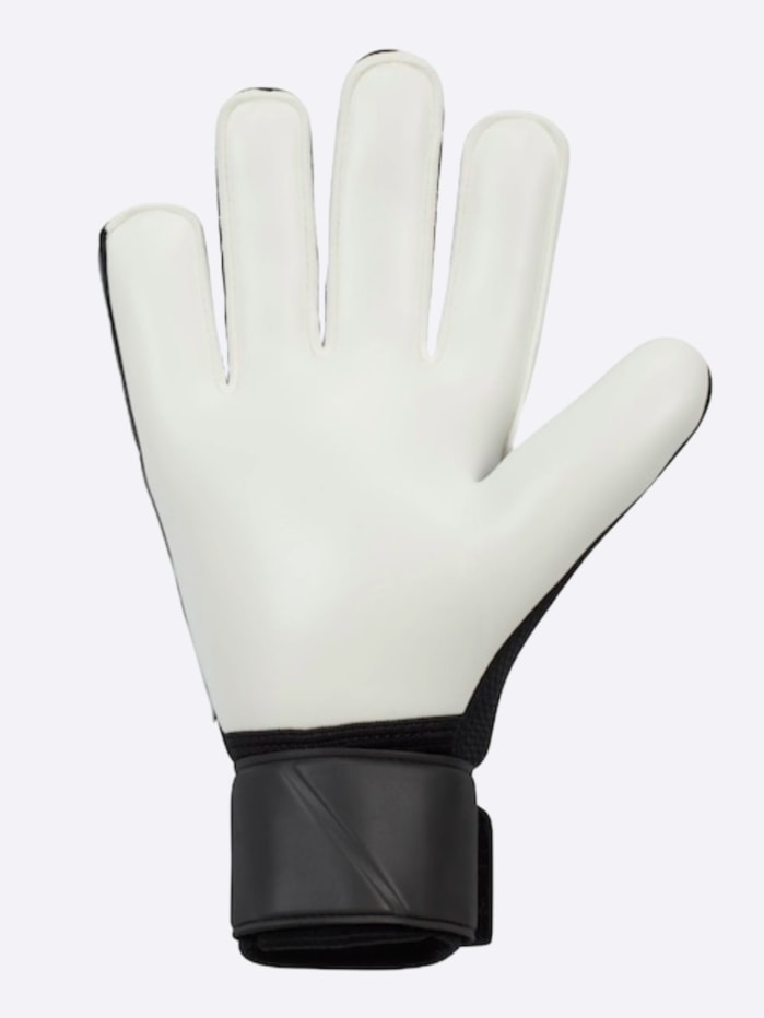 image_dd22866a-79c0-41fd-870f-3ff1b7ba7daa