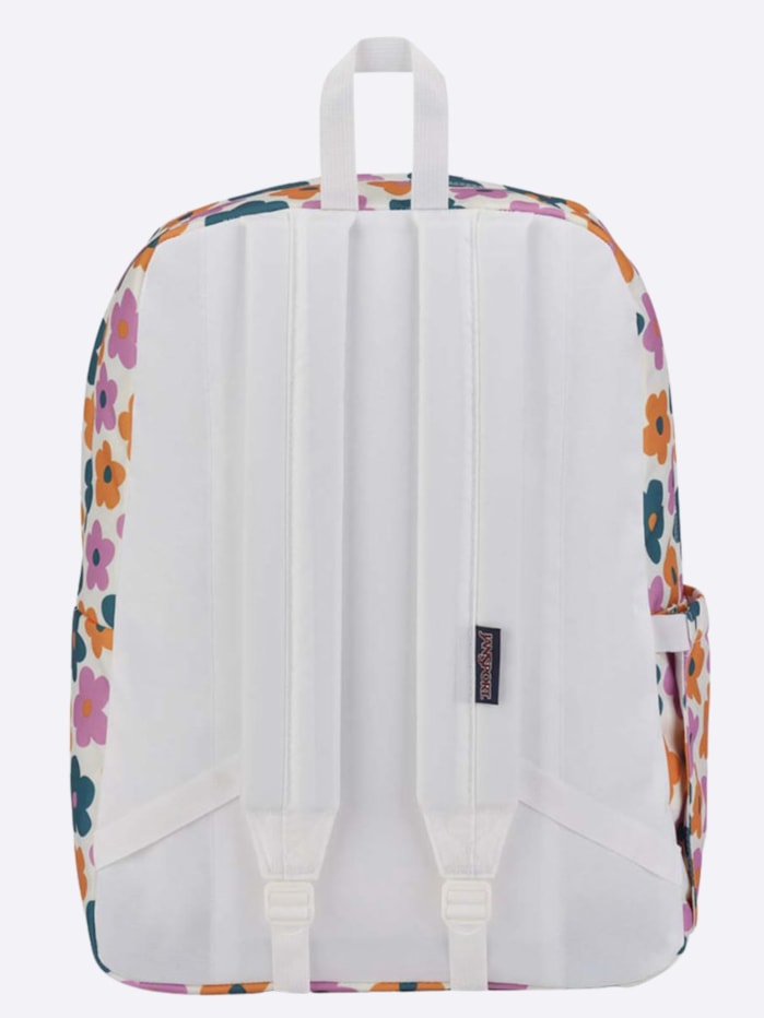 image_54e83305-a307-4a6e-b9c3-d8848239fe03