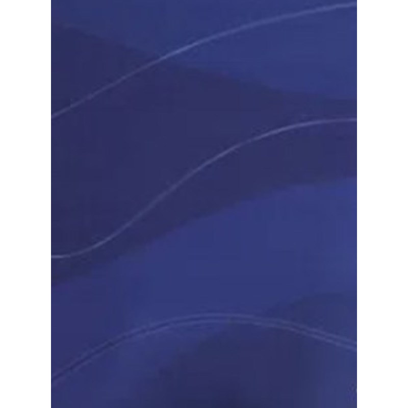 Sunga Speedo Acqua Plus 14cm Azul - Compre Agora